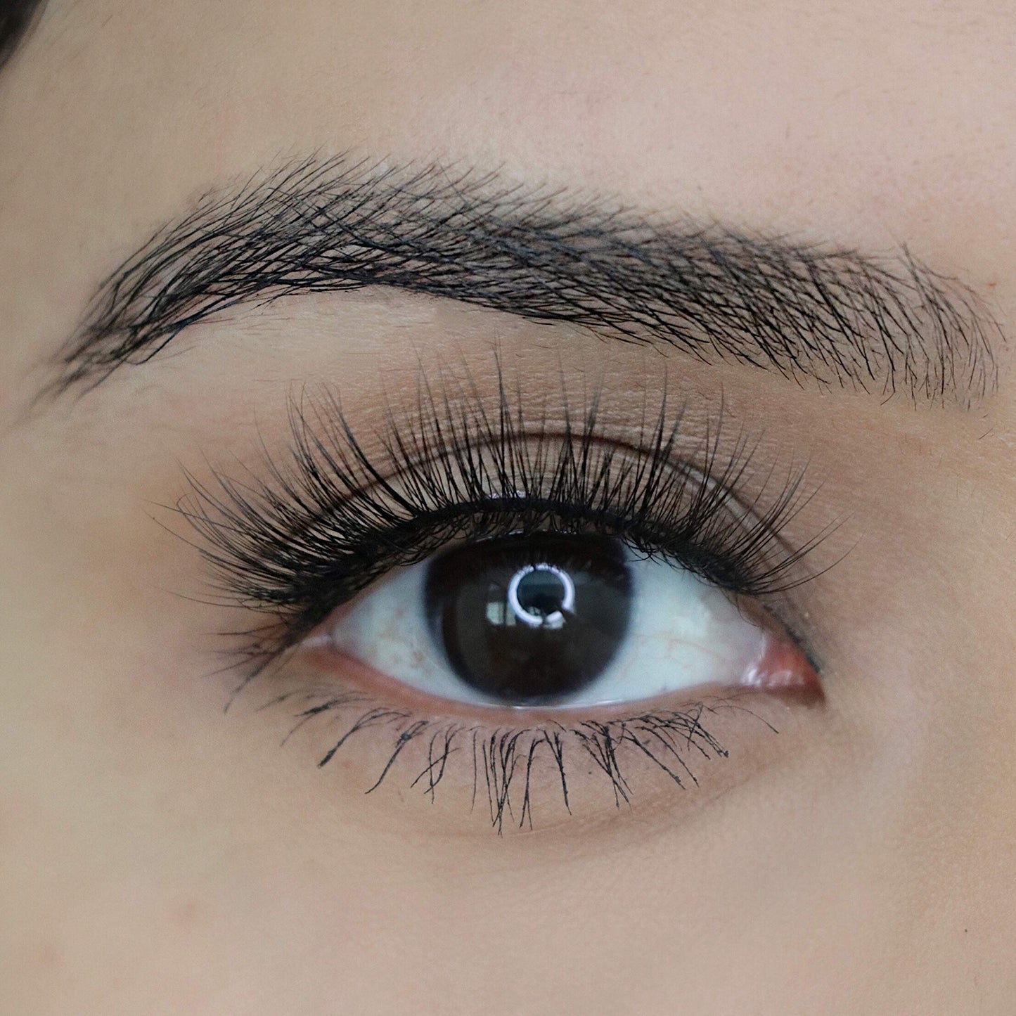 theBalm Big Fan False Eyelashes