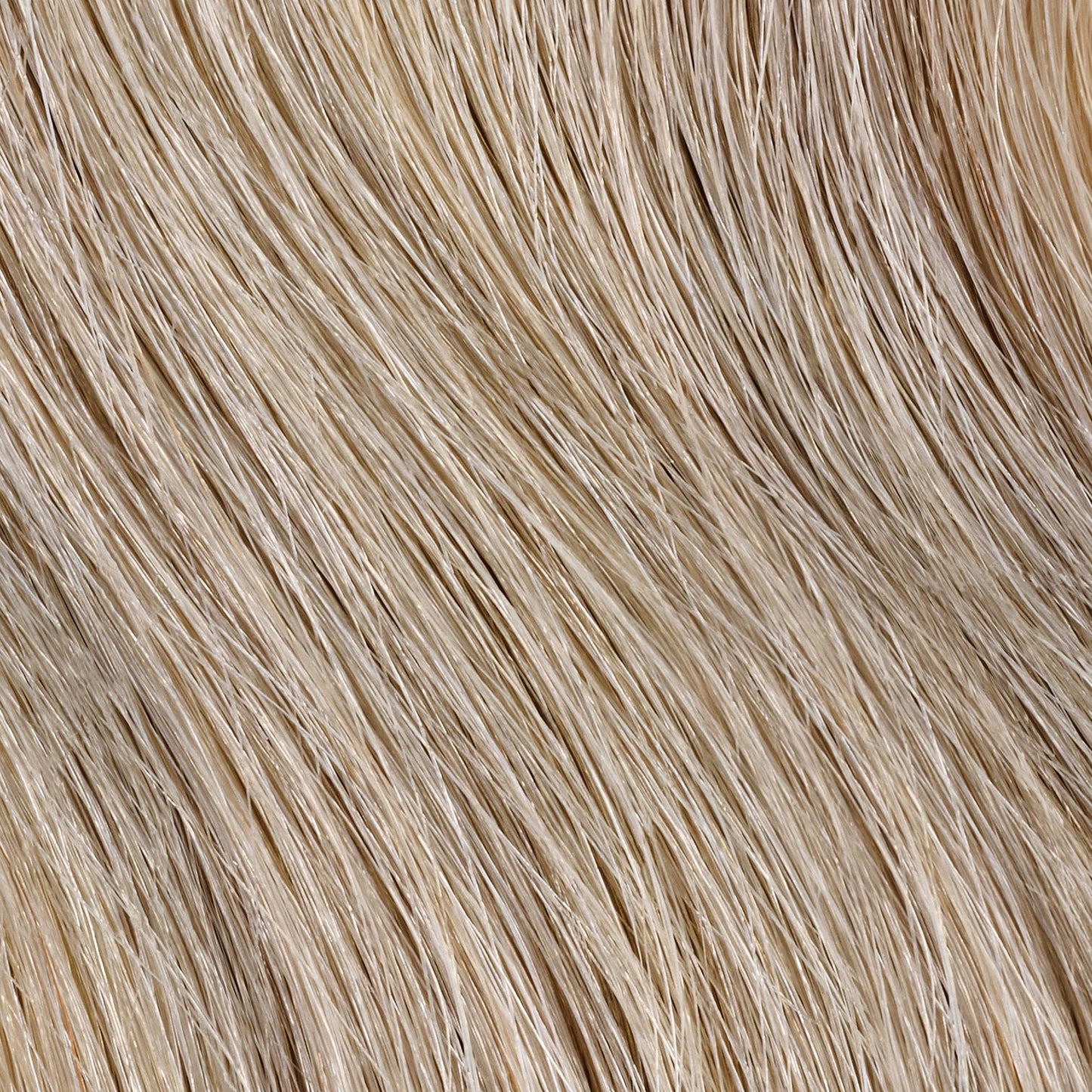 Clairol Professional Permanent Liquicolor for Very Light Blonde/Ultra Light Bkonde Hair Color with 100% Gray Coverage | Packaging May Vary