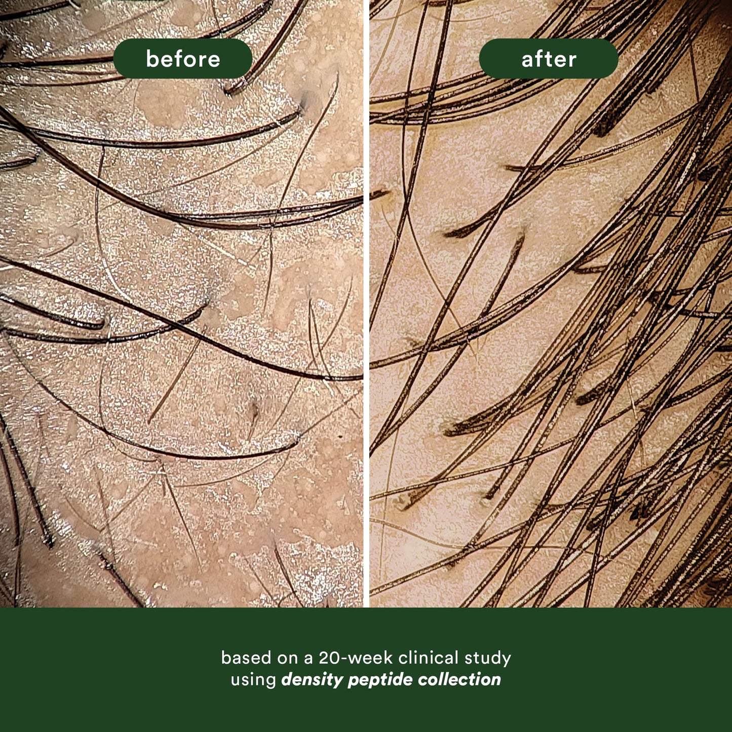VERB Density Peptide Serum, Visibly Thicken + Reduce Signs of Shedding- No Parabens or Harmful Sulfates
