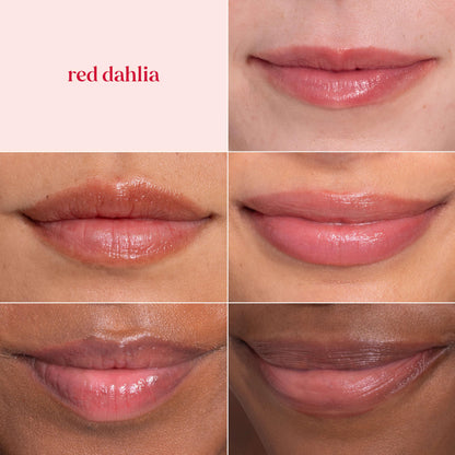 Burt's Bees Lip Tint Balm, Long Lasting 2 in 1 Duo Tinted Balm Formula, Color Infused with Hydrating Shea Butter for a Natural Looking Buildable Finish, Red Dahlia, 1 Tube