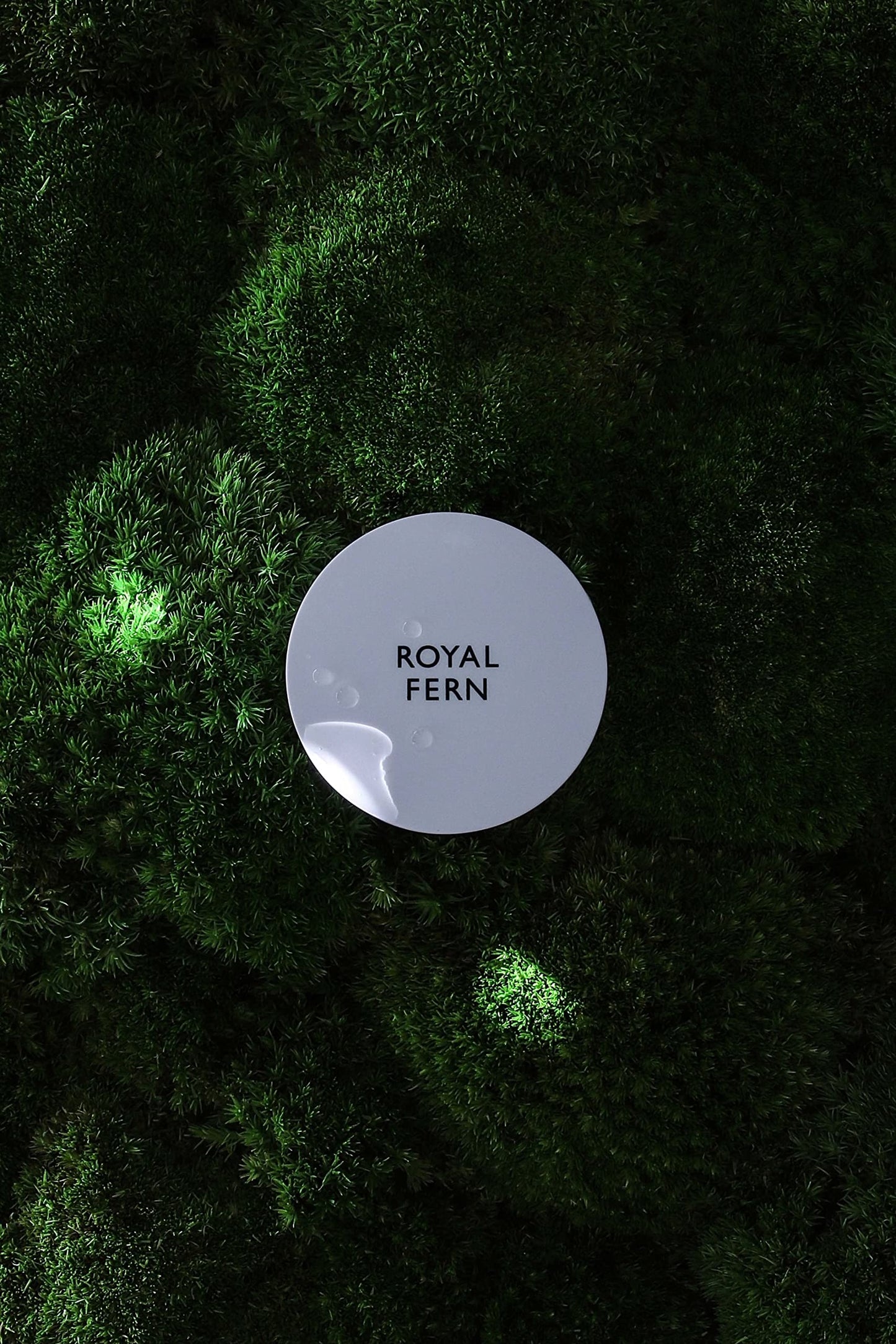 ROYAL FERN DR TIMM GOLUEKE