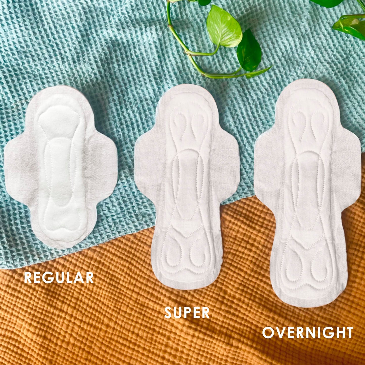 L. , Organic Cotton Ultra Thin Pads for Women, Super Absorbency, With Wings, 42 Count