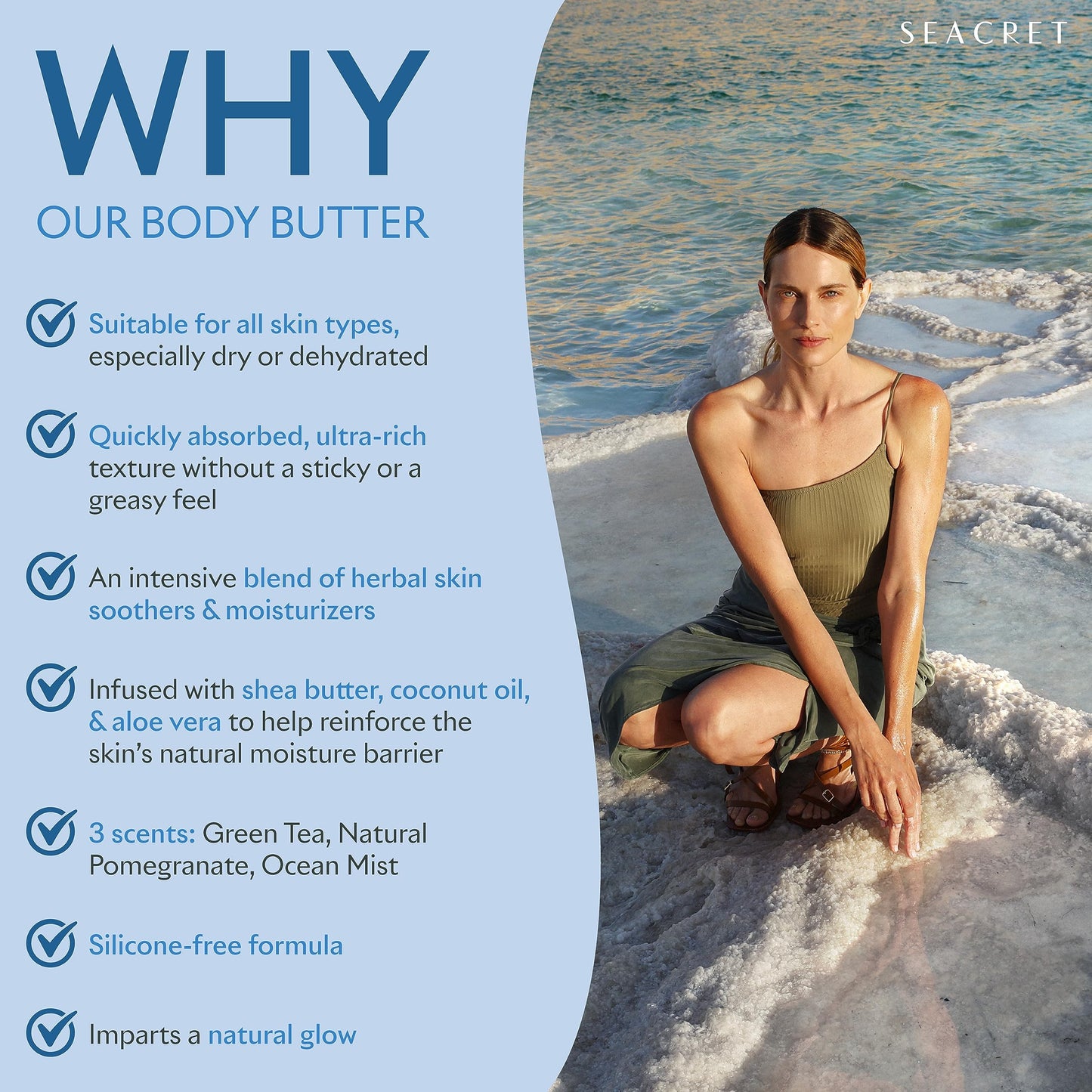 SEACRET Minerals Dead Sea Body Butter - Ultra-Rich Shea Butter & Coconut Oil Body Moisturizing Cream for Dry Skin, Fast Absorbing, Non-Greasy with Aloe Vera & Vitamin E, 8.5 fl. oz.