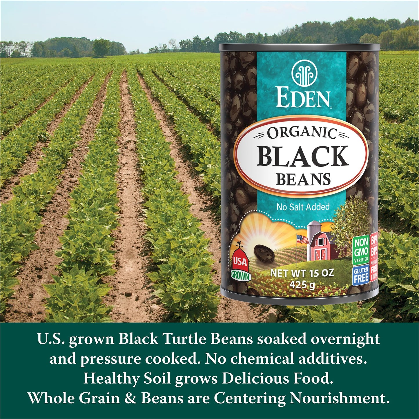 Eden Organic Black Beans, 15 oz Can (12-Pack Case) , No Salt Added, Non-GMO, U.S Grown, Heat and Serve, Macrobiotic, Turtle Beans, Frijol Negro, Caviar Criollo