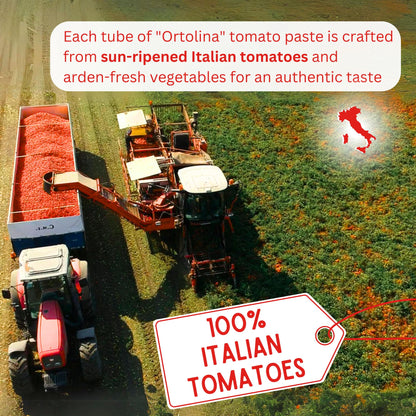 Tomato Paste Tube "Ortolina" Rodolfi Sauce, 130 gr (4.5 Oz) - Pack of 2, Authentic Italian Product with Fresh Tomatoes and Vegetables, Imported from Italy, Additive-free