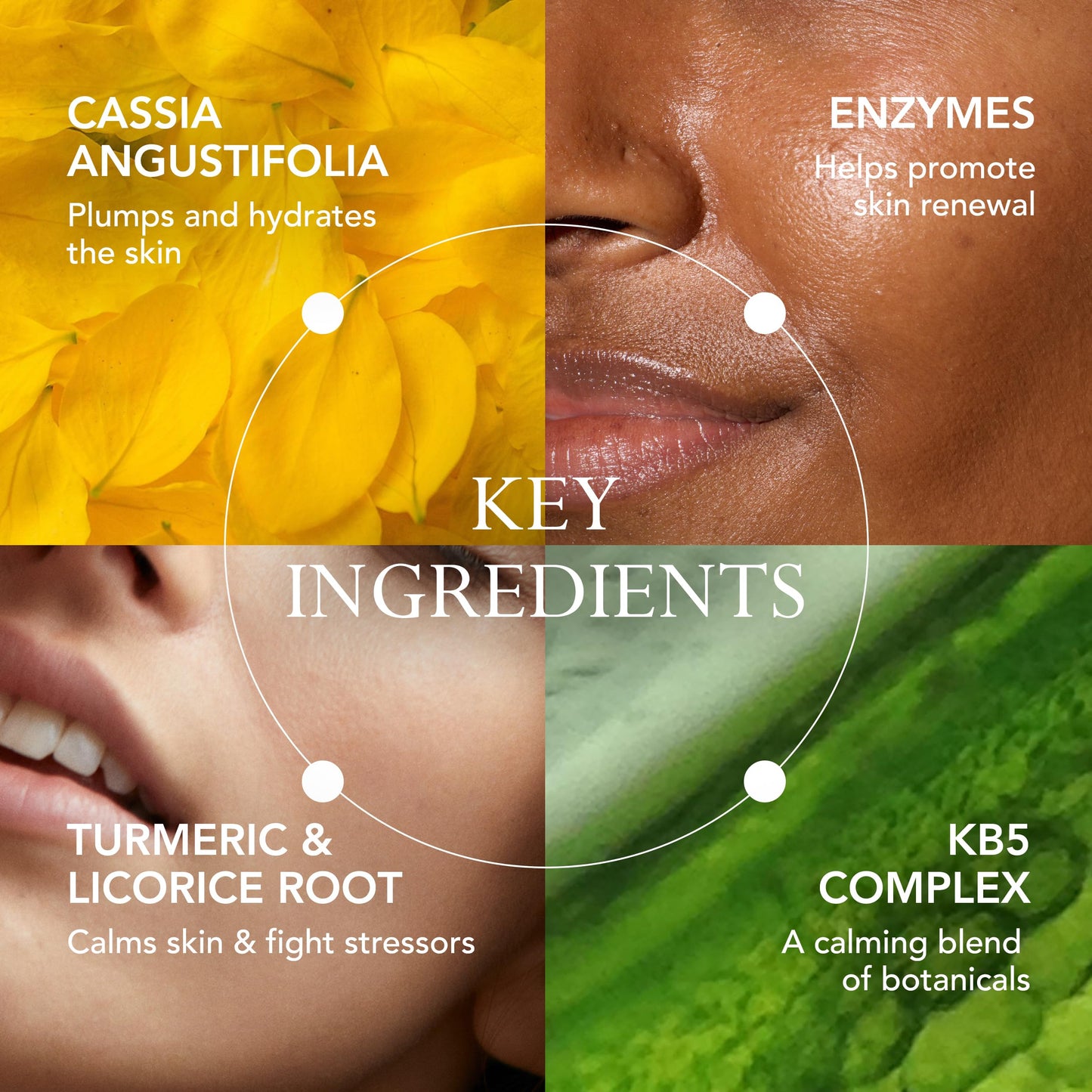 Kat Burki pH+ Enzyme Essence Face Serum, Balancing and Smoothing with Pumpkin and Papaya Enzymes, Turmeric, Licorice Root, and KB5 Complex, 3.4 Fl Oz