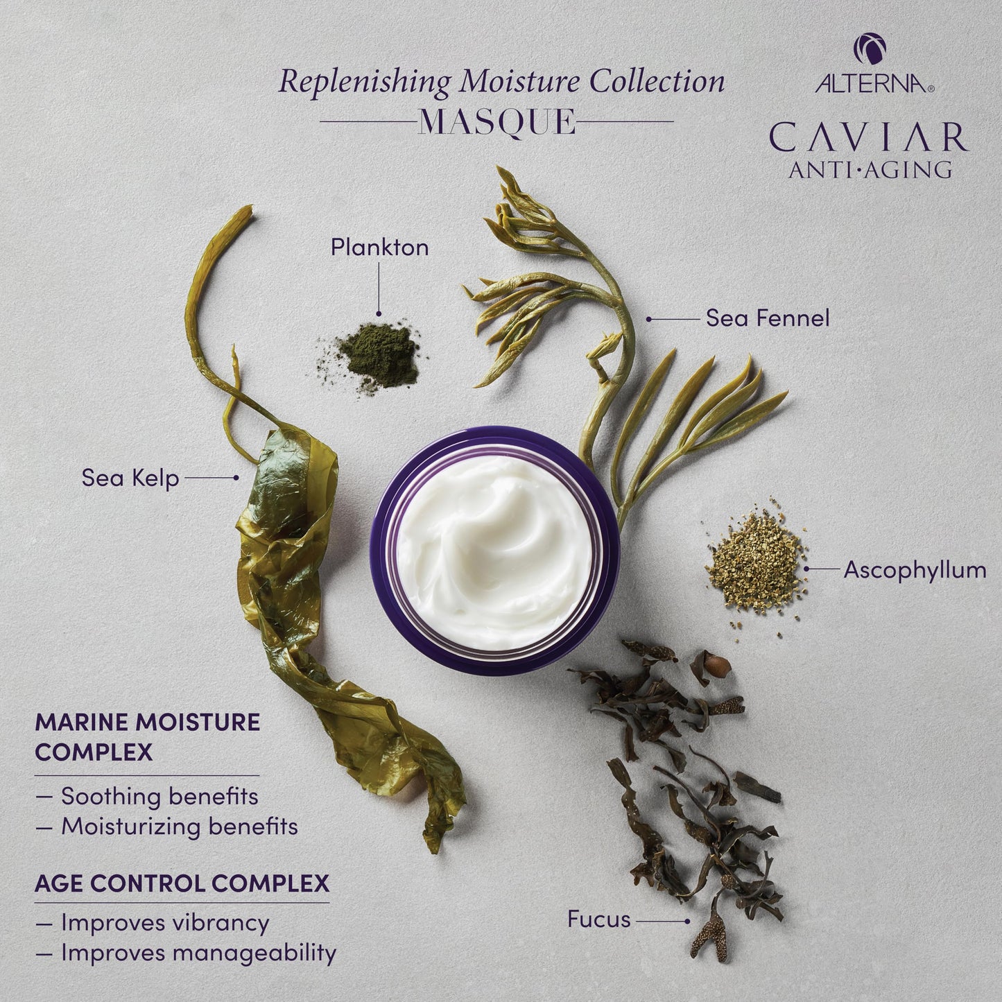 Alterna CAVIAR Anti-Aging Replenishing Moisture Hair Masque | Replenishes Dry, Coarse, Damaged Hair | Sulfate Free