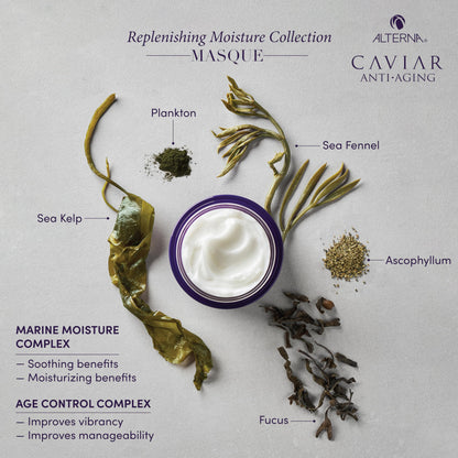 Alterna CAVIAR Anti-Aging Replenishing Moisture Hair Masque | Replenishes Dry, Coarse, Damaged Hair | Sulfate Free