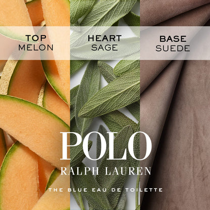 RALPH LAUREN FRAGRANCES - Polo Blue - Men's Deodorant - Aquatic & Fresh - With Citrus, Sage, and Suede - Alcohol-Free, Long Lasting - 2.6 Oz