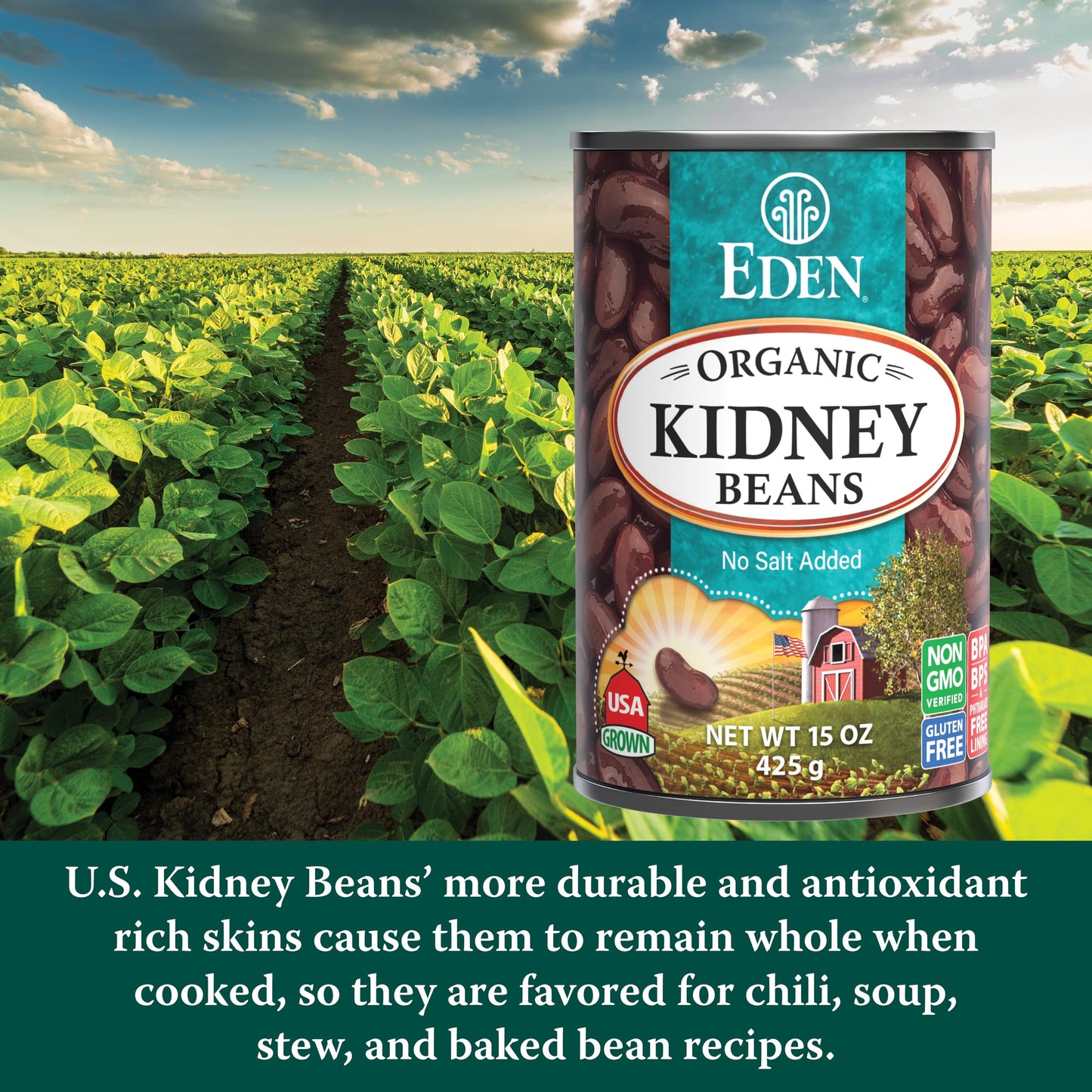 Eden Organic Red Kidney Beans, 15 oz Can, No Salt Added, Non-GMO, U.S. Grown, Heat and Serve, Macrobiotic, Red Beans (12-Pack)