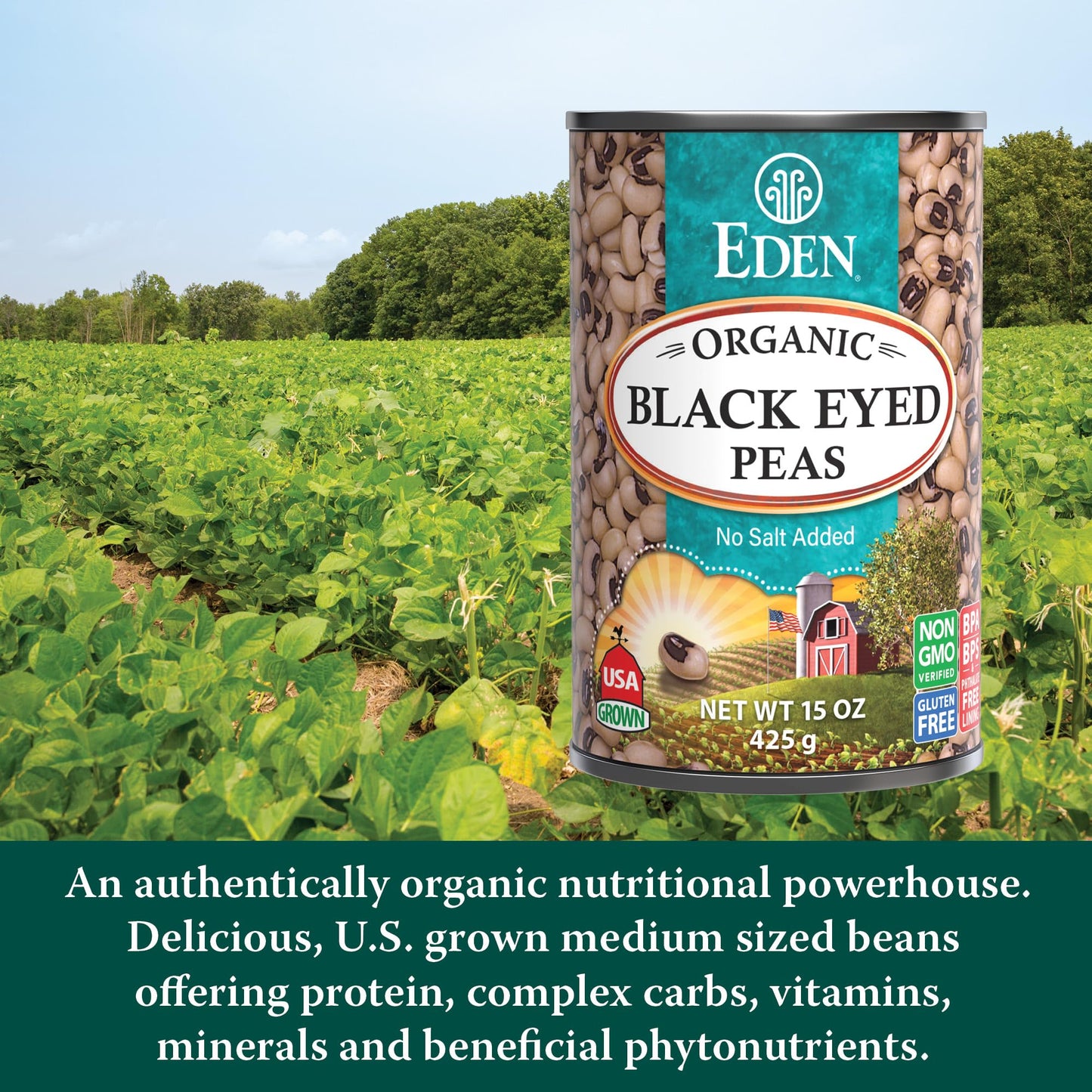 Eden Organic Black Eyed Peas, No Salt Added, 15-Ounce Cans (Pack of 12)