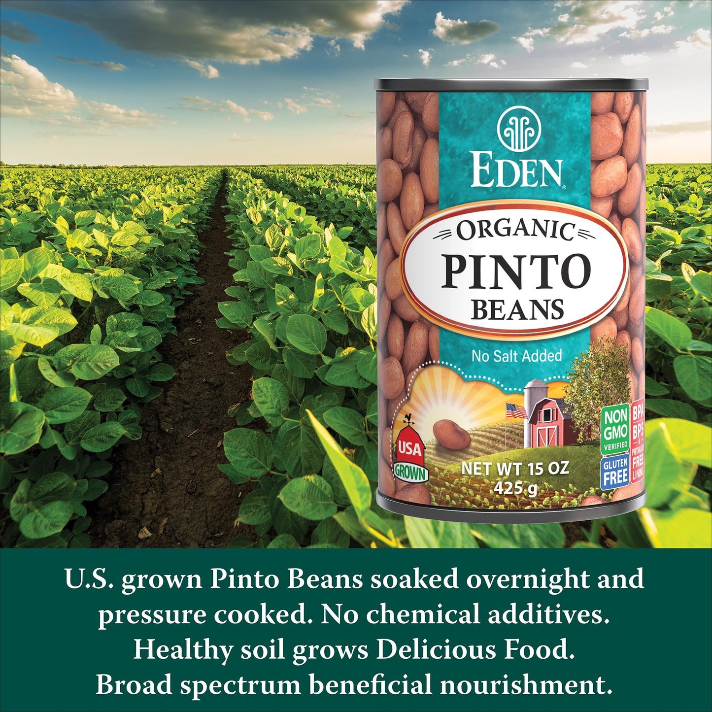 Eden Organic Pinto Beans, 15 oz Can (12-Pack), No Salt Added, Non-GMO, Gluten Free, Vegan, Kosher, U.S. Grown, Heat and Serve, Macrobiotic, Frijol Pinto