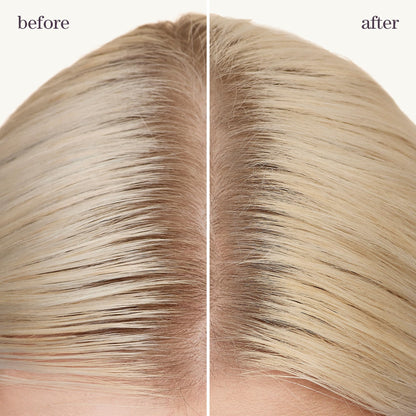 Pureology Style + Protect Refresh & Go Dry Shampoo For Oily and Color-Treated Hair - Volumizes and Protects from Heat Dry Shampoo, Silicone-Free & Vegan