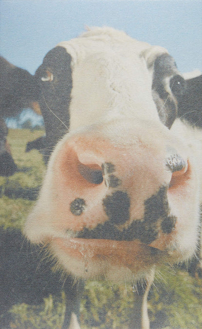 FarmHouse Fresh Sweet Cream Body Milk