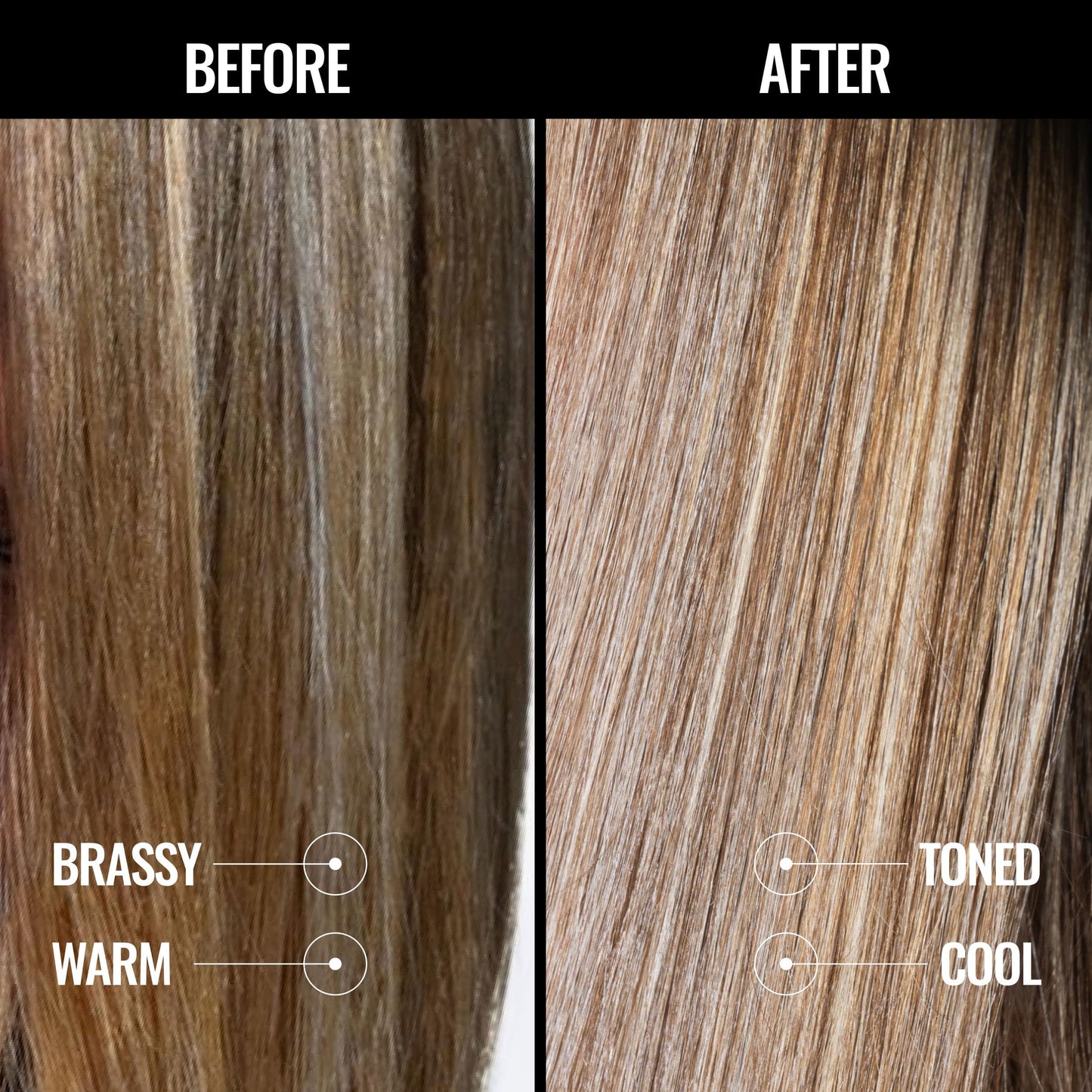 PRAVANA The Perfect Blonde Purple Toning Conditioner | Neutralizes Brassy, Yellow Tones | For Color Treated Hair | Chromasilk Enhances Shine & Protection | Vegan, Cruelty-Free | Paraben & Sulfate Free