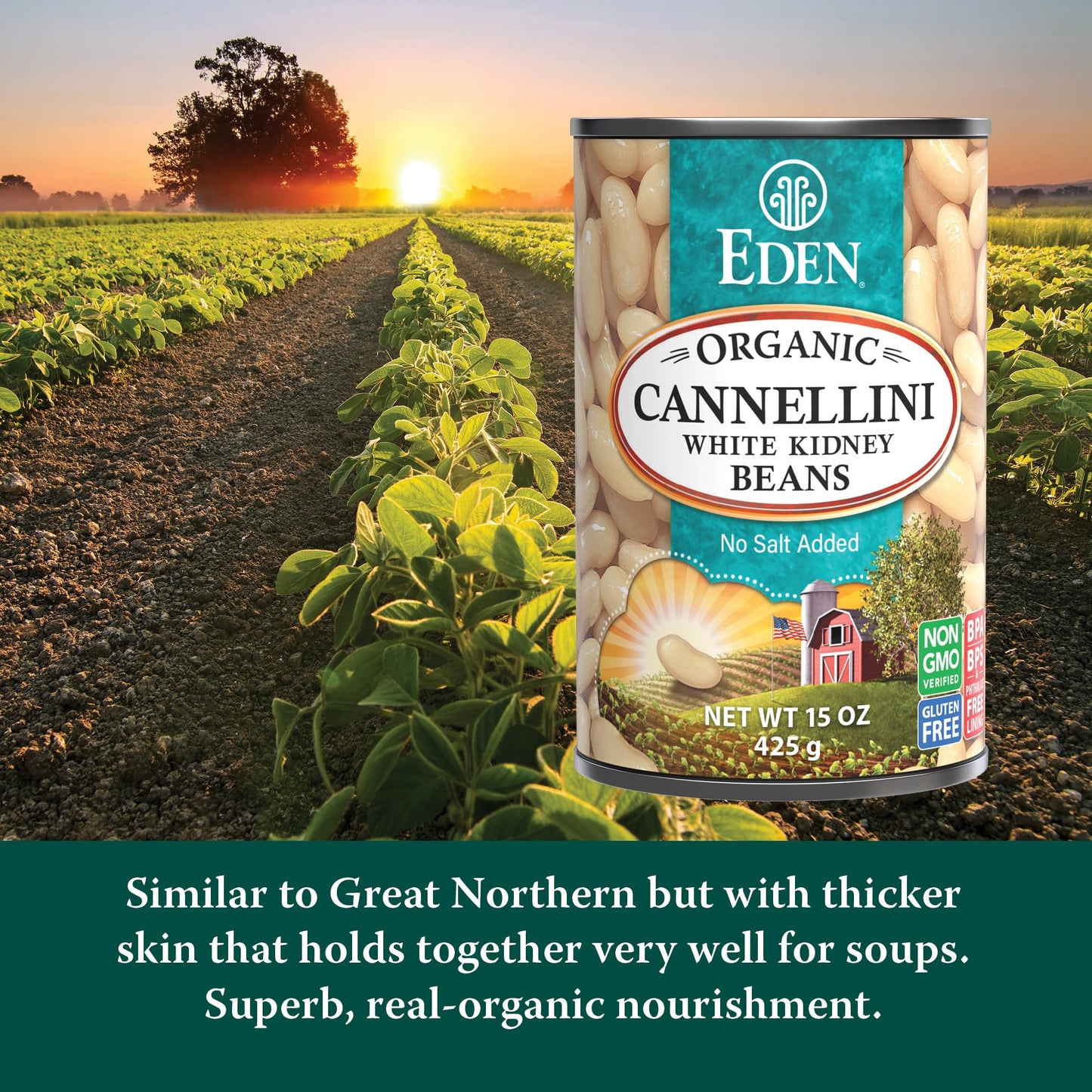 Eden Organic Cannellini White Kidney Beans, No Salt Added, 15-Ounce Cans (Pack of 12)