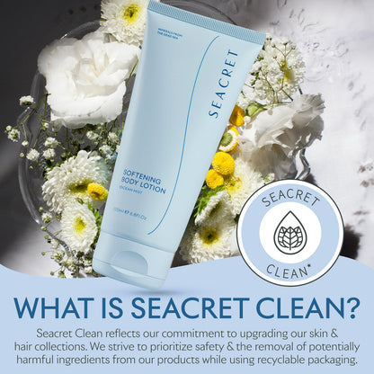 SEACRET Body Lotion for Dry Skin - Daily Moisturizing Lotion with Ceramide, Squalane, Shea Butter & Dead Sea Minerals, Fast-Absorbing Non-Greasy Formula, 6.8 fl oz