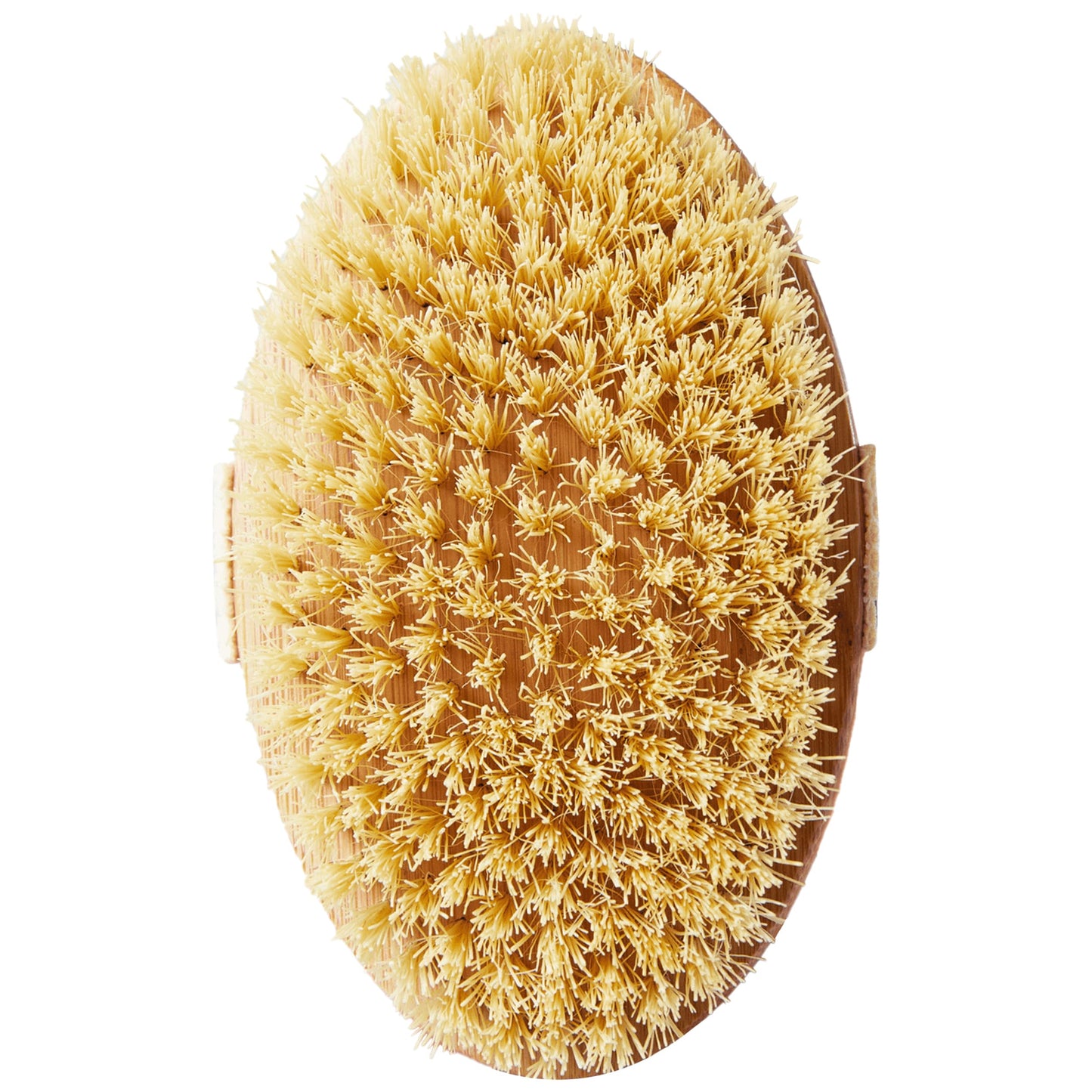 Skin Gym Bamboo Dry Body Brush, Natural Bristle Exfoliating Tool for Smooth, Radiant Skin