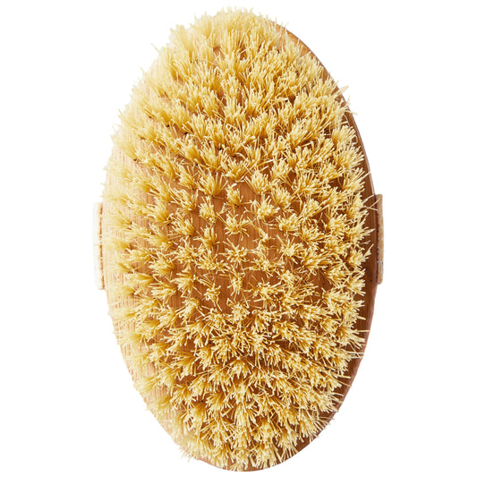 Skin Gym Bamboo Dry Body Brush, Natural Bristle Exfoliating Tool for Smooth, Radiant Skin