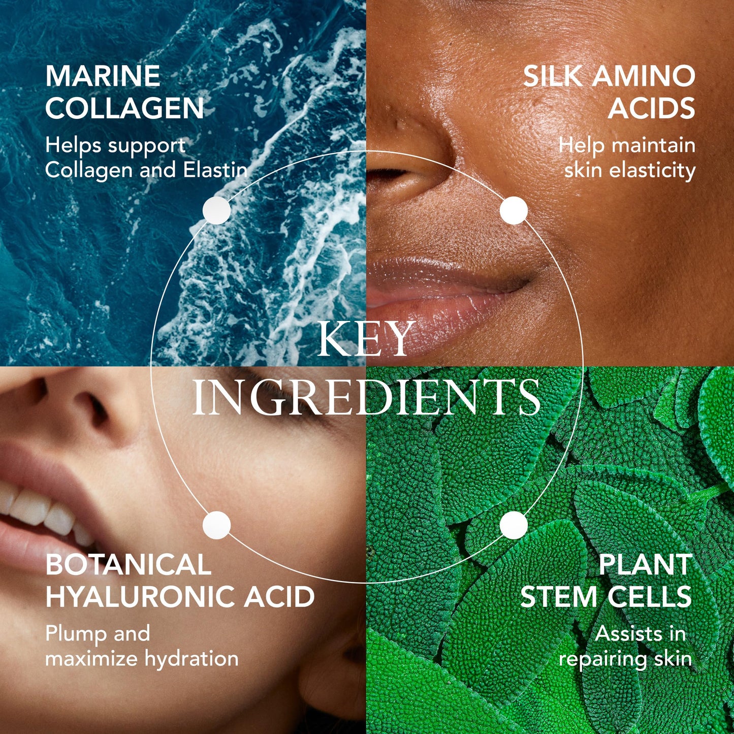 Kat Burki Form Control Marine Collagen Face Serum. Clinically Proven Anti-Aging Care Promoting Collagen Production: Lifts, Plumps & Contours Skin